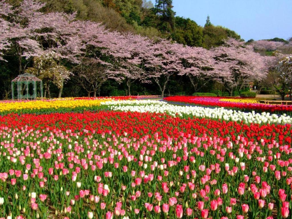 Izumigo Lake Hamanako Dog Paradise Hotel هاماماتسو المظهر الخارجي الصورة