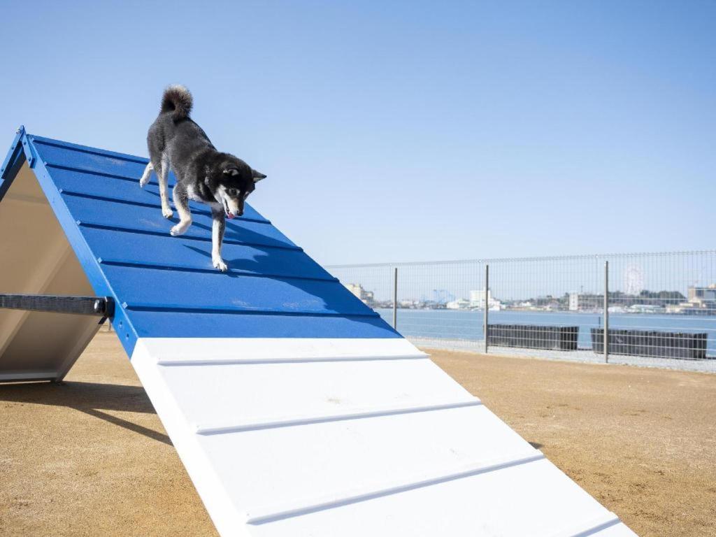Izumigo Lake Hamanako Dog Paradise Hotel هاماماتسو المظهر الخارجي الصورة