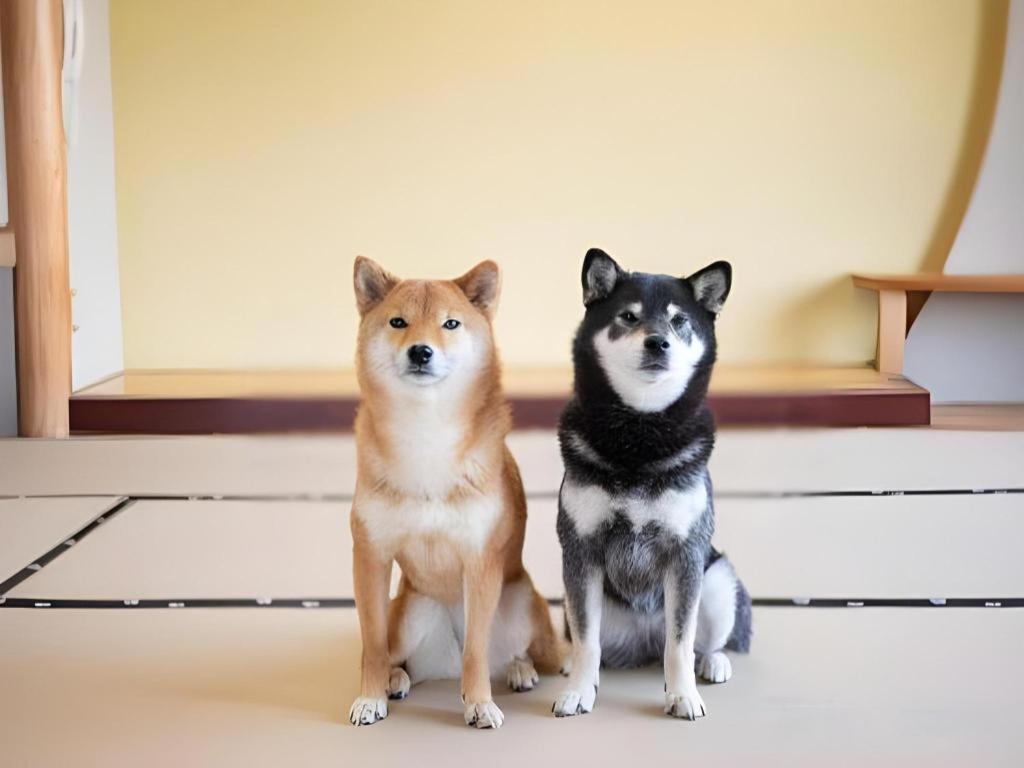 Izumigo Lake Hamanako Dog Paradise Hotel هاماماتسو المظهر الخارجي الصورة