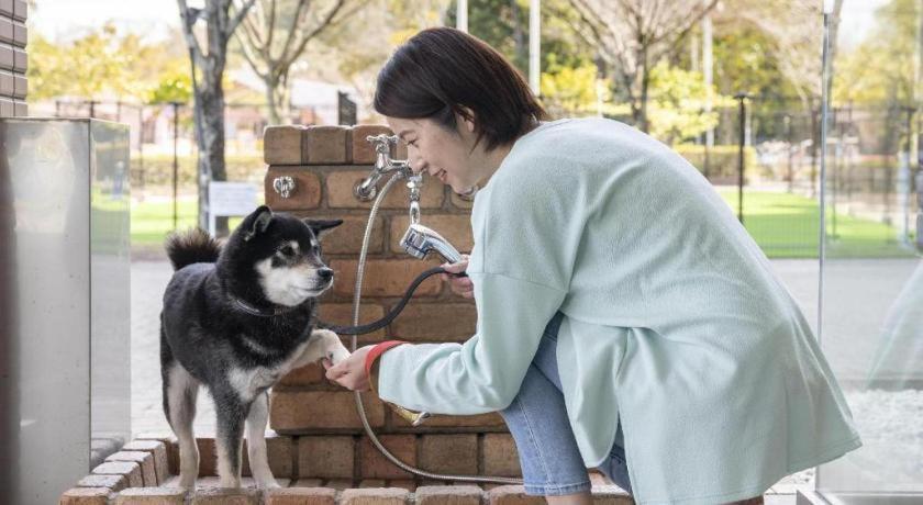 Izumigo Lake Hamanako Dog Paradise Hotel هاماماتسو المظهر الخارجي الصورة